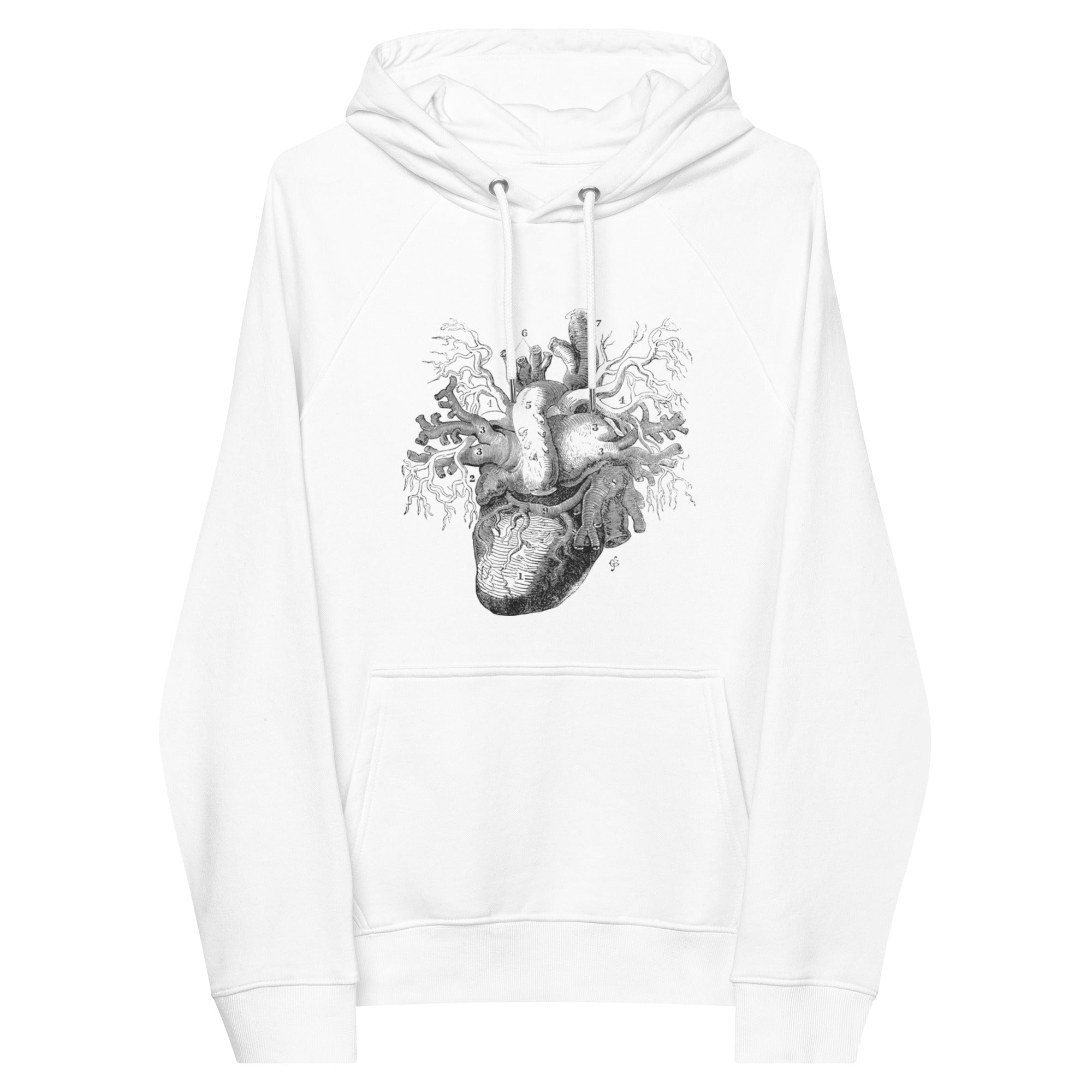 Anatomy Heart Unisex Eco Raglan Hoodie - MedTheories