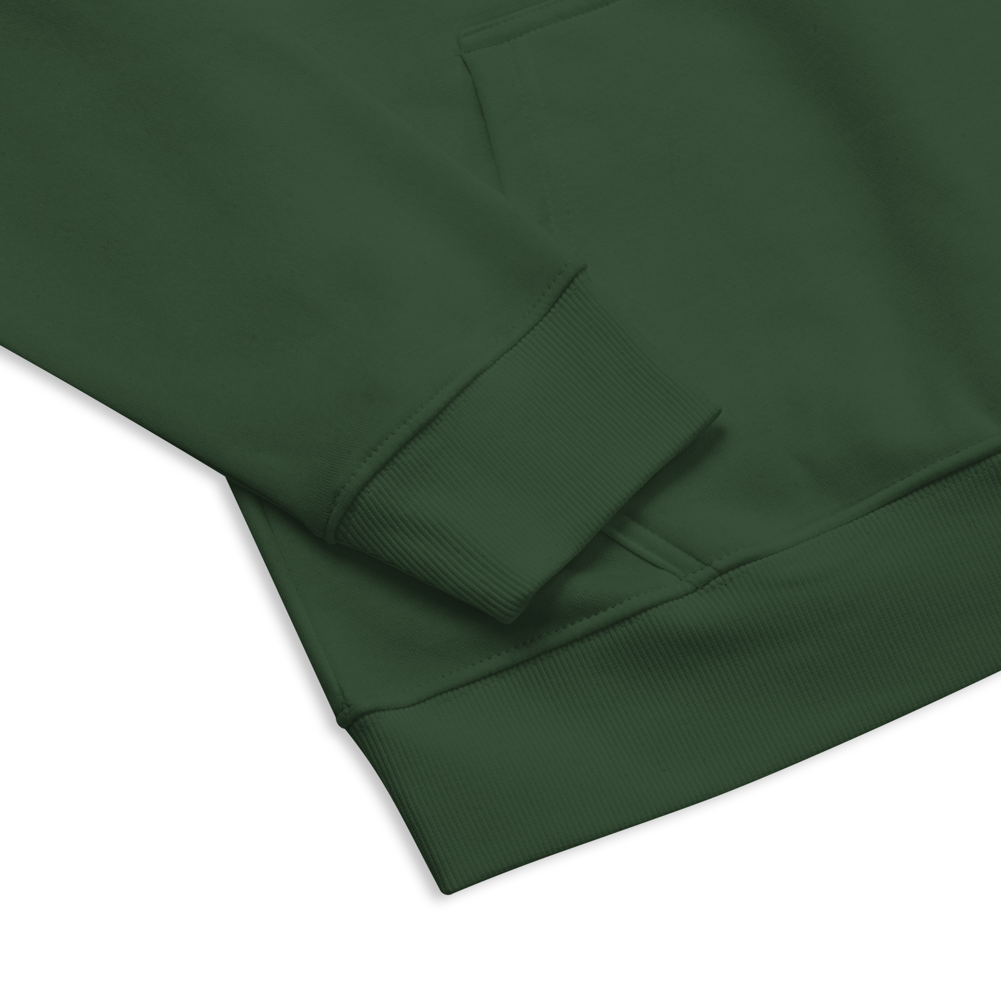 Evolving PT Unisex Eco Raglan Hoodie - MedTheories