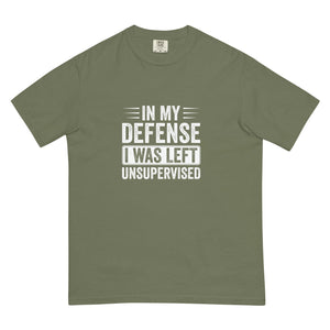 In My Defense Unisex garment - dyed heavyweight t - shirt - MedTheories