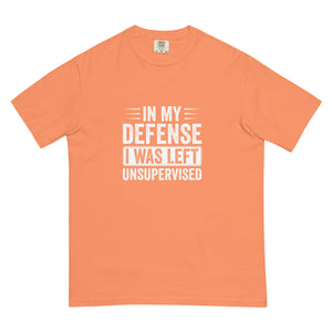 In My Defense Unisex garment - dyed heavyweight t - shirt - MedTheories