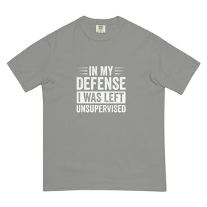 In My Defense Unisex garment - dyed heavyweight t - shirt - MedTheories