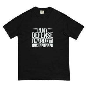 In My Defense Unisex garment - dyed heavyweight t - shirt - MedTheories