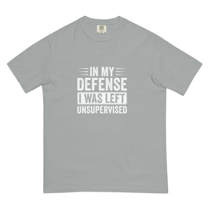 In My Defense Unisex garment - dyed heavyweight t - shirt - MedTheories