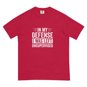 In My Defense Unisex garment - dyed heavyweight t - shirt - MedTheories