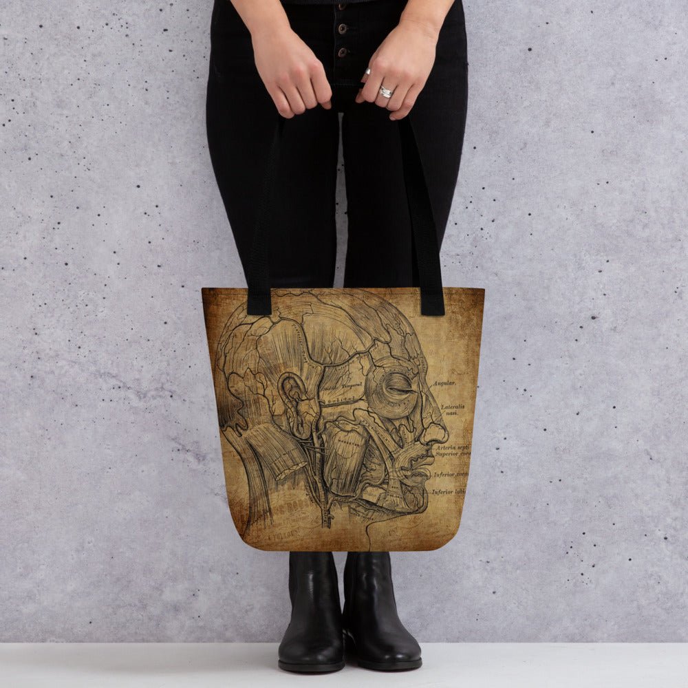 Cranial Anatomy Tote bag - MedTheories