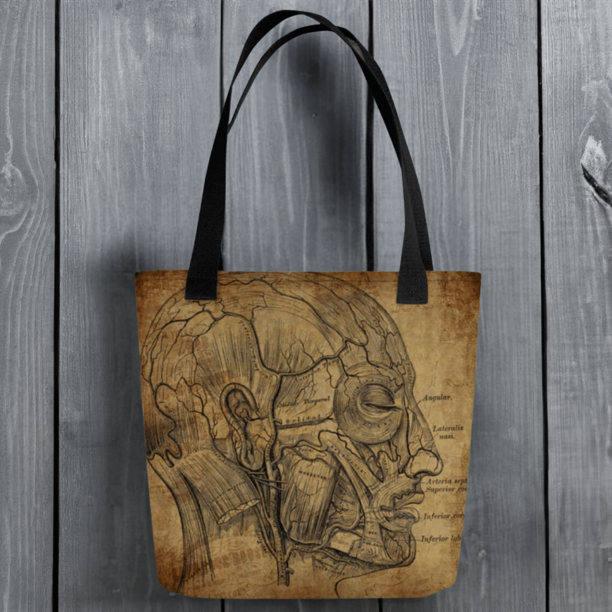 Cranial Anatomy Tote bag - MedTheories